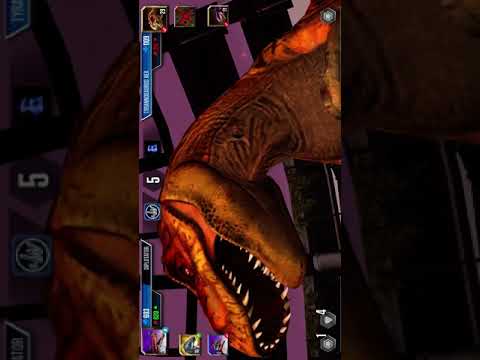 NEW BOSS AKUPARA 81 AND MUCH MORE