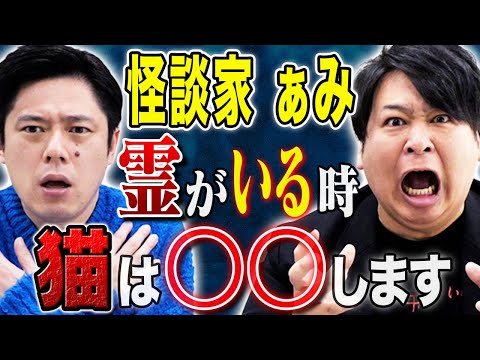 看護学科 【怪談家ぁみ】霊感があるのは人だけじゃない、、、猫にまつわるちょっと変わった怖い話