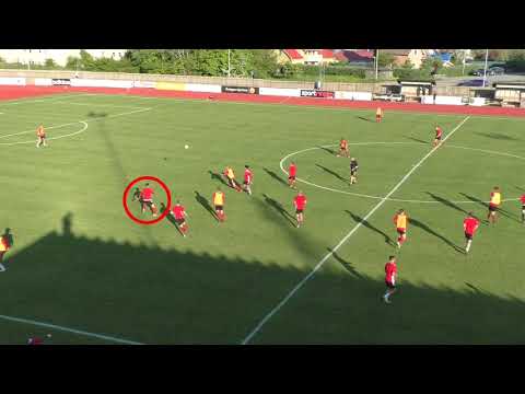 Alexandar Mutic - Goals/Skills - date: 2020-06-04