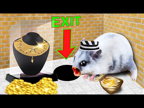🐹 Escape Maze With Traps Hamster Police Pets - Prison Break 4