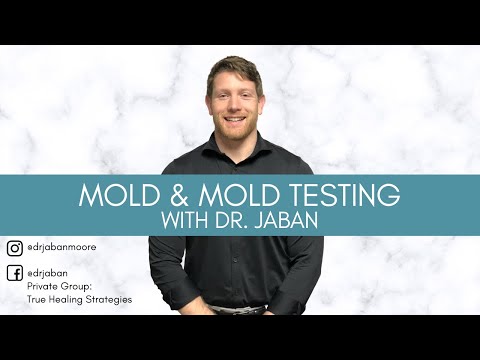 Mold Testing - Using the ERMI in Your Home
