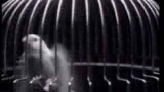 INXS - Kill the Pain