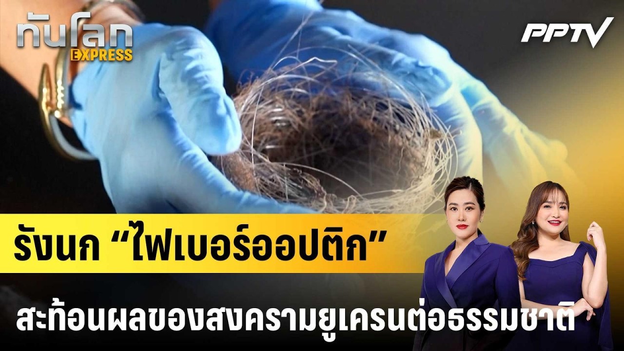 รังนก “ไฟเบอร์ออปติก” สะท้อนผลของสงครามยูเครนต่อ
