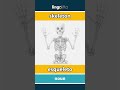 skeleton - esqueleto video thumbnail