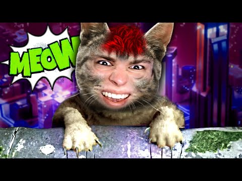 Ich habe einen langen Schwanz 🐱 | Stray