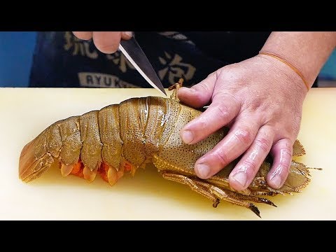 download lagu mp3 mp4 Sand Lobster, download lagu Sand Lobster gratis, unduh video klip Sand Lobster
