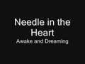 awake and dreaming - needle in the heart 