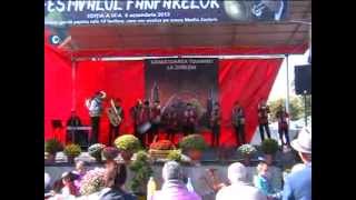 preview picture of video 'Fanfara din Balteni la Festivalul Fanfarelor Zorleni'