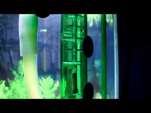 download lagu mp3 mp4 X5000k, download mp3 X5000k free download mp3, download mp3 X5000k