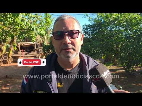 Asalto en Alto Paraná, persecución y detención en Mallorquin
