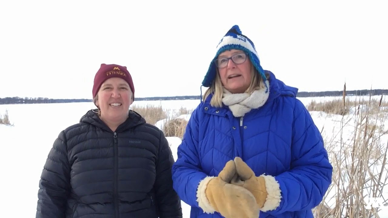 Exercise and connections UMN Extension