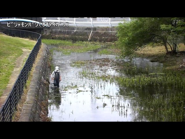 毘沙門橋映像監視局