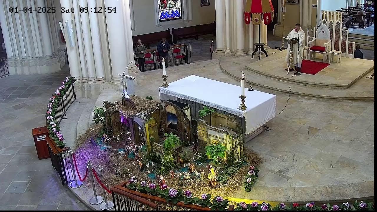 Transmisión Eucaristía Basílica de Lourdes   2024