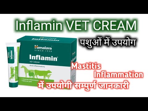 50gm inflamin vet cream, packaging type: tube
