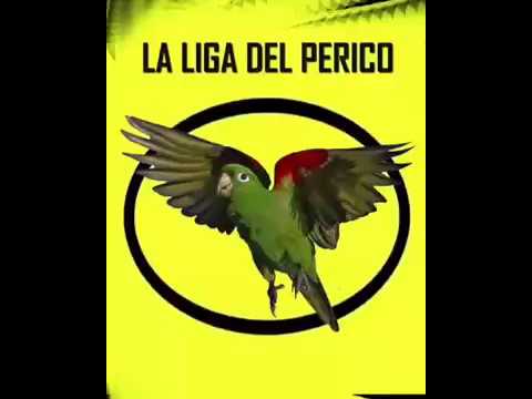 LIGA DEL PERICO - BARMAN VS ROBIN - CAPÍTULO 4