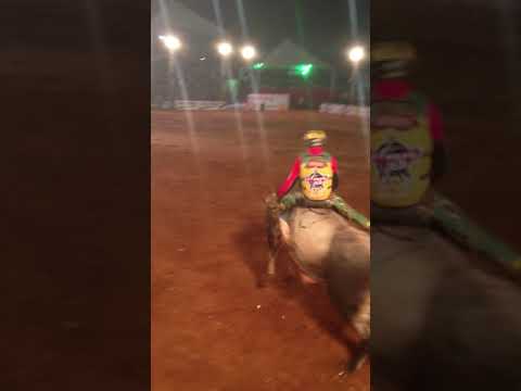 Wesley Lourenço vs Touro Calibre