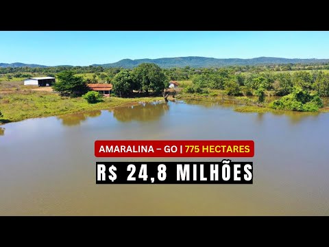 Fazenda à venda em Amaralina no Goiás, 775 ha, estrutura completa. Ativo pronto por R$ 24,8 Milhões