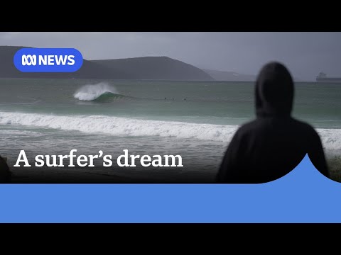 'High-performance' artificial reef transforms town's surf scene | ABC News