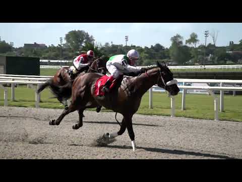 220219 c02 - 1| ESTE DORADO - HIPODROMO DE MAROÑAS