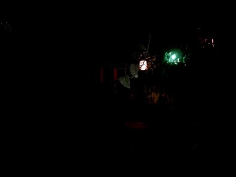 LION TROD oct.21,2018.