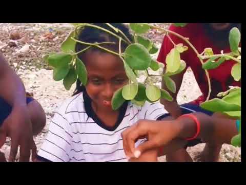 K2 Alongside Jah Lion Ft Dj Qweenzy- Titit Kol