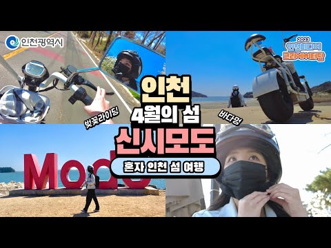 인천시ㅣ4월의 추천 인천 섬 신시모도, 당일치기 혼자 여행