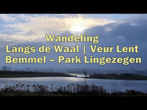 Wandeling Langs de Waal | Veur Lent – Bemmel – Park Lingezegen 🌿