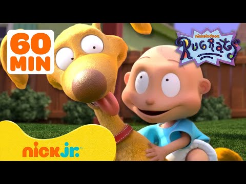 Rugrats Best Pet Rescues! 🐕 w/ Spike, Chuckie, Phil & Lil! | 1 Hour Compilation | Nick Jr.