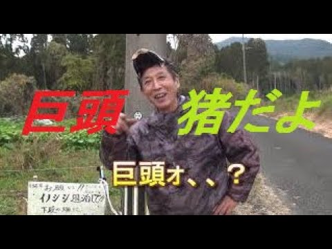 巨頭オ　ネット上で語り継がれる謎集落、巨頭村は鹿児島にある？│Harada Office Weblog