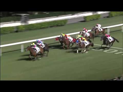 Horse Of Fortune - Karis Teetan (22 october)