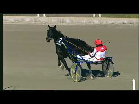 Napoli Trotto 06/11/2022 - 3ª corsa