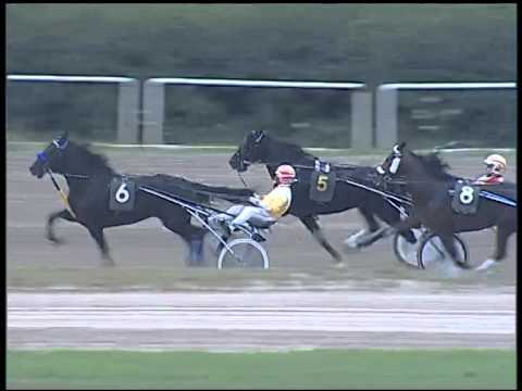 Trotto 23/10/2014 - 6° corsa