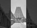 Aayiram Kai Undendral Song Lyrical Status ️‍ ️ Lord Shivan Status Tamil ️ Arunachaleshwarar