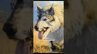 Movies That Fool You with the Wrong Animal Sounds!
