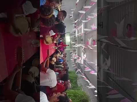 Folia em Monte do Carmo do Tocantins.