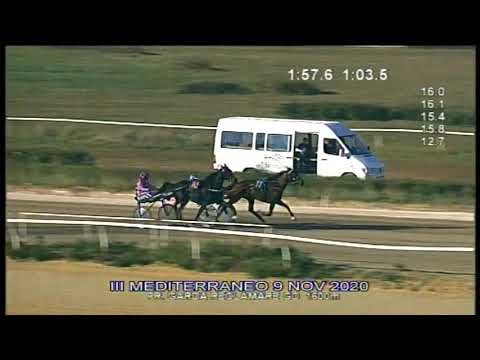 Trotto Corse del 9 Novembre 2020