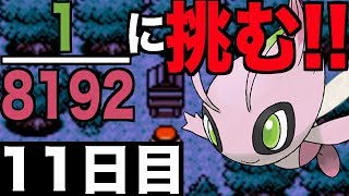 【色違いセレビィ】退紅に輝く幻を探して【11日目】