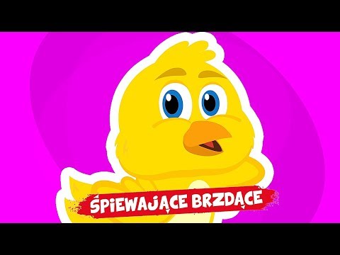 , title : 'Śpiewające Brzdące - Żółty kurczaczek 😍😍😍 Piosenki dla dzieci'