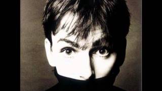 Stephen 'Tin Tin' Duffy - Wednesday Jones (Dixie)