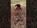Calisthenics for Beginners Workout | #Shorts | #Calisthenics