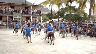 preview picture of video 'Yuscaran Polo sobre burro 2'
