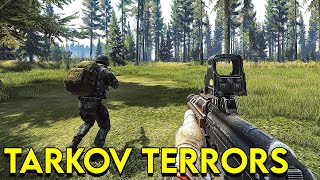 Terrorizing Tarkov Players in Woods