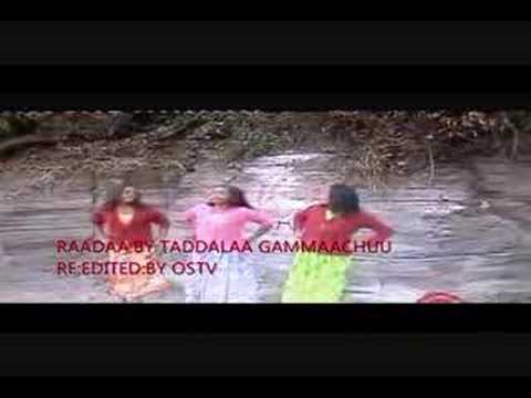 RAADAA:BY-TADDALAA GAMMACHUU