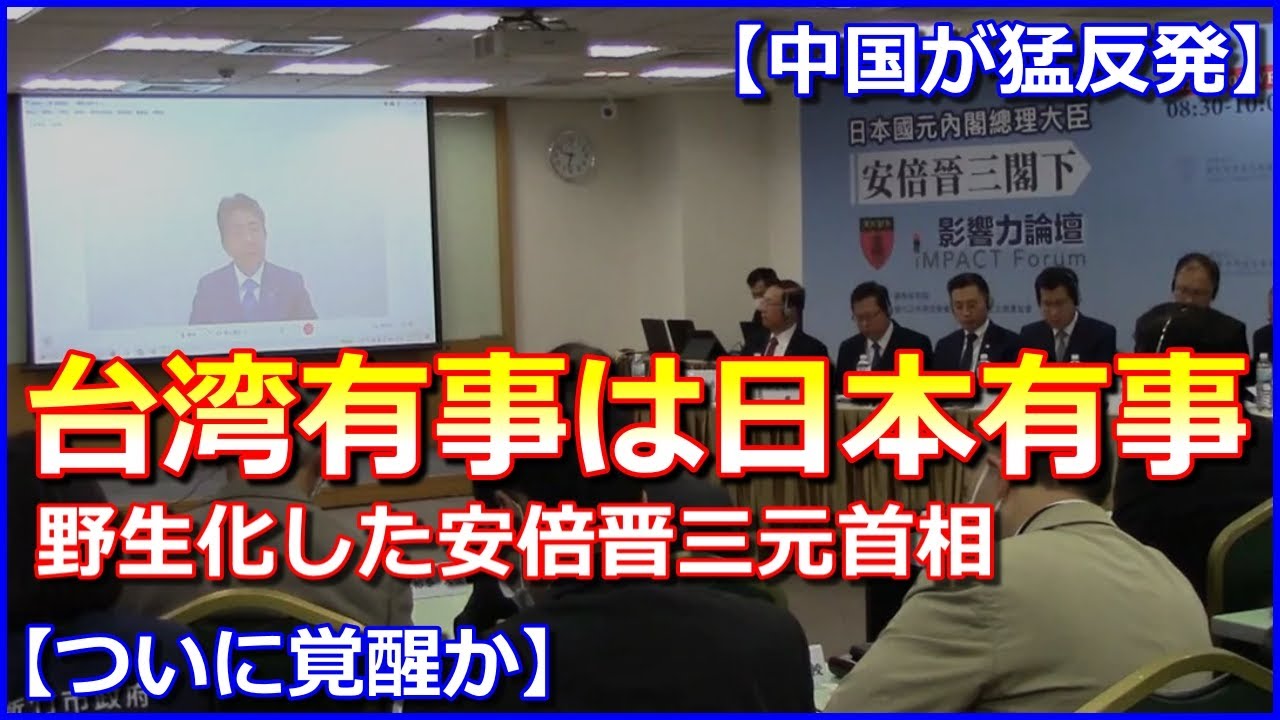 【中国が猛反発】野生化した安倍元総理「台湾有事は日本有事」と中国と習主席を名指しで強く牽制【ついに覚醒か】