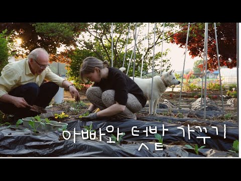 한국에서 15년째 시골 사는 아빠랑 우리 집 진돗개와 텃밭 가꾸기