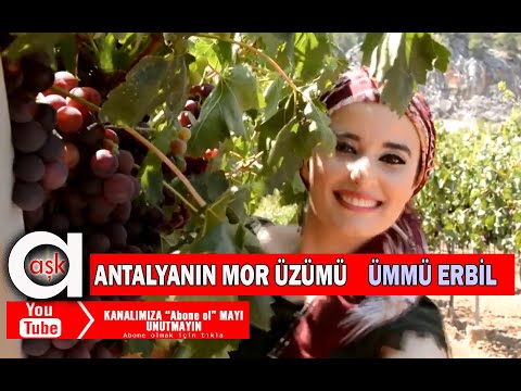 Ümmü Erbil - Antalyanın Mor Üzümü