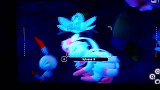 New Pokemon Snap: Florio Nature Park Gameplay, Night Time