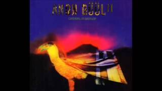 Amon Düül II - 06. Hawknose Harlequin (Carnival in Babylon, 1972)