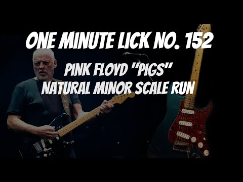 One Minute Lick No. 152 Dave Gilmour Pink Floyd "Pigs" E Natural Minor Lick