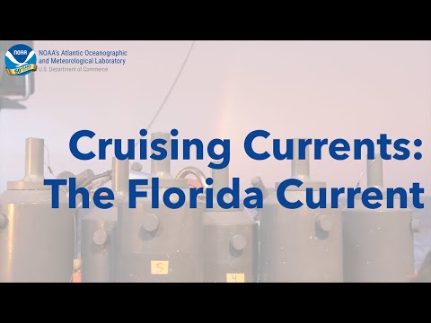 Cruising Currents The Florida Current